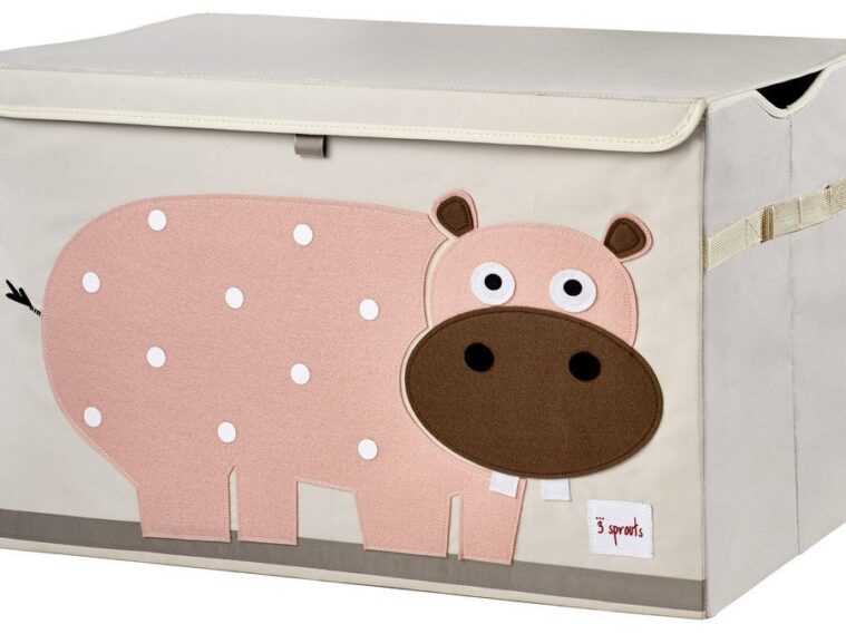 3 Sprouts Kids Toy Chest – Storage Trunk for Boys and Girls Room