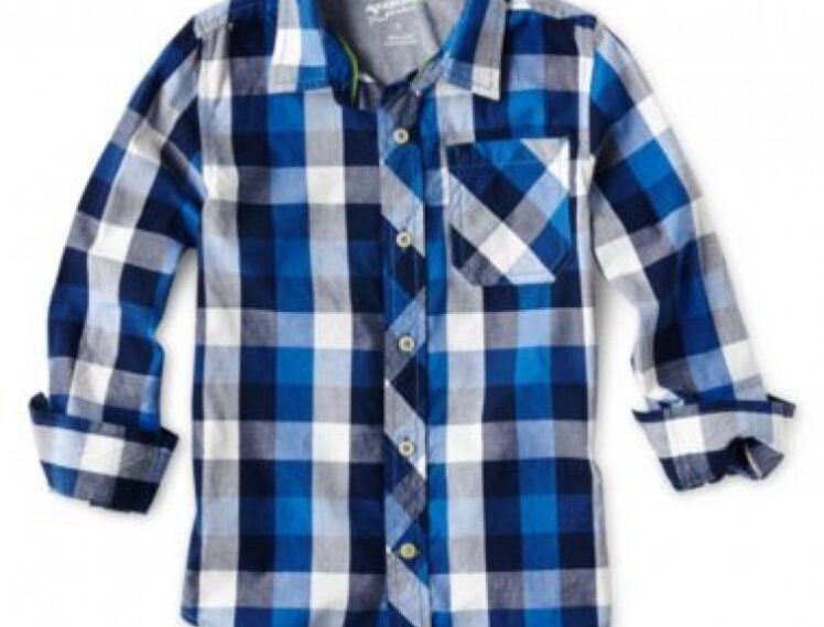 Arizona Blue-Black Gingham Shirt